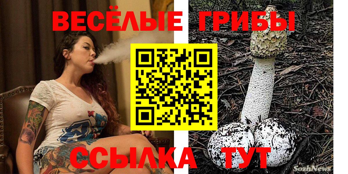 Псилоцибиновые грибы мицелий  Вход с VPN  Видное  Галлюциногенные грибы MAGIC MUSHROOMS 